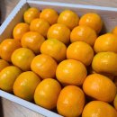 탐모라농수산