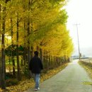 전원목장 이미지