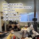 최루백로 | 입양 카페ㅣ유기견 카페ㅣ입양 카페ㅣ광고Xㅣ내돈내산ㅣ솔직후기ㅣ카페ㅣ사지말고 입양하세요ㅣ유기견