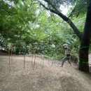 계남 유아숲체험원 이미지