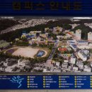 춘천교육대학교 농구장