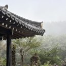 지리산참펜션 | 지리산 펜션한옥 청학재 후기, 하동 부모님 아이와 가족 여행 추천, 하동 삼성궁 근처 단체 숙소 추천