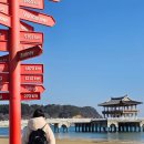 차와 함께 일상으로의 여행 | 기저귀가방 백팩 아키베리 레나백 일상부터 여행까지 활용 후기