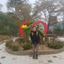 노홍섭 Daum카페