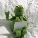 임진왜란 때 조선엔 흑인 용병이 있었잔아요! 이미지