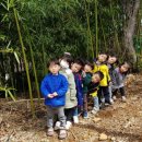 미래숲유치원 이미지