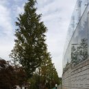 신월동의보감한의원 이미지