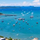 성전농장 | 태국 파타야 여행 코스 일정 추천 진리의 성전 외 가볼만한곳 Best7