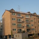 서구-02-30 이미지