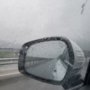 한복자엉터리김밥구평점 | 구미인동김밥맛집 : 진순자계란말이 한복자엉터리 원이네김밥 털어오기