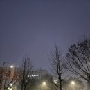 봉화읍사무소 | 봉화 청옥산]숲속봉화 힐링트립_페어플레이 페플 셔틀후기_페플은 처음_봉화 청옥산 등산코스추천...