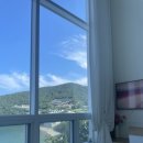 총각네애견 이미지