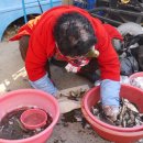 여러가지장터 이미지