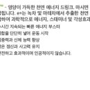 레드진생
