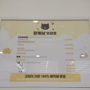 함께냥 전주점 | 전주 고양이 미용 고양이호텔 전문, 함께냥 후기