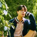 펫토피아 이미지