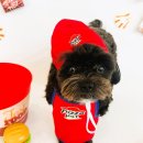 수도유치원 이미지