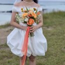 새열린목장 | W7. 제주 셀프 웨딩 스냅 후기 | 셀프 스냅 장소 추천, 꿀팁, 제주 맛집 추천