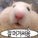 공차구미구평점