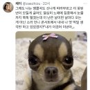 저번 주에 이소라 콘서트 갔다가 ㅈㄴ 분하고 슬픈 일 겪음.....twt 이미지