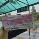 뉴경성렌트카 | 21.06.11-13 JEJU ISLAND, 제주여행 1탄