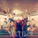 펫다이어리 이미지