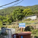버드나무캠핑장 | 창원 진전면 부재산방 오토캠핑장 후기｜그늘 명당 2번 사이트 있는 조용한 경남 캠핑장