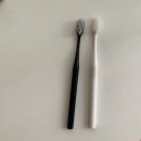 칫솔 유목민입니다.