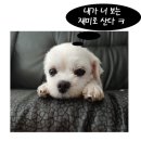 9월 7일(일) 해학연의 하루를 열다. 이미지