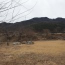 개나리낚시공원 티스토리