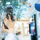 몽몽이하우스 인천연수점 이미지