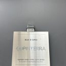 커핀테라 이미지