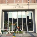 나무아래모모