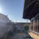 가은채1969