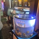 팔팔오락실 | 영등포횟집 쭈꾸미 샤브샤브 봄도다리 내돈내산 후기
