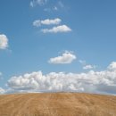 양포초등 병설 이미지