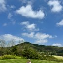 소피아그린 | 소피아그린(Sophiagreen)cc 황학코스/세종코스 후기(review)