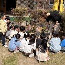 든해솔유치원 이미지