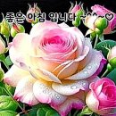 행복한아침 - 안성시 서동대로 4061 | 행복한아침