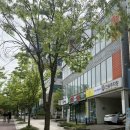 매월대 진입도로변 | 닥터모락 광주상무점 | 상무지구 탈모 관리 두피케어 코스 체험 세세한 후기, 코스별 영상