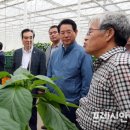 유리농장2 이미지