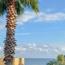 바다 위 언덕 | 제주도 서귀포 남원 숙소 바다위언덕 혼자 1박 후기