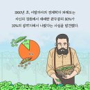 80/20법칙을 적용하라! 이미지