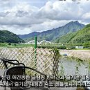 문경새재반려동물힐링센터(젠틀펫파라다이스) | 문경 애견동반 글램핑 자연 속에서 즐기는 대형견 숙소 계곡 근처 젠틀펫파라다이스