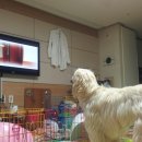 예금농장 이미지