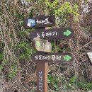 인천공항초교 신도분교 이미지