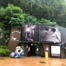 강원특별자치도탄광문화촌 이미지