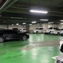 다올 | 수원정자동필라테스 | 다올필라테스 2:1 필라테스 후기 | 체형 및 자세교정