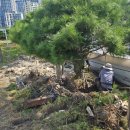 용산-현장-307 이미지