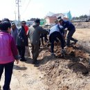 신대1리 이미지